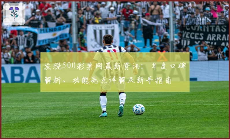 发现500彩票网最新资讯：年度口碑解析、功能亮点详解及新手指南