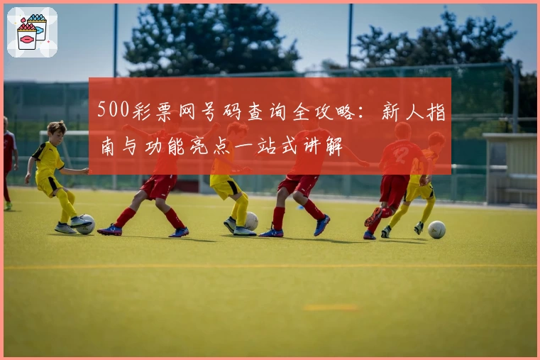 500彩票网号码查询全攻略：新人指南与功能亮点一站式讲解