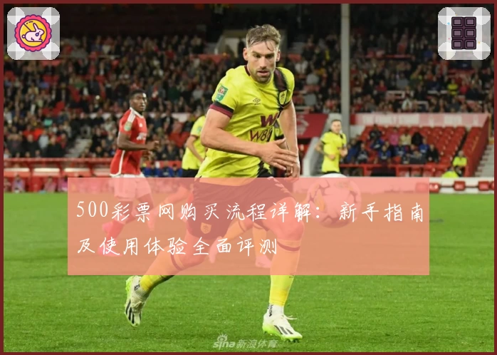500彩票网购买流程详解：新手指南及使用体验全面评测