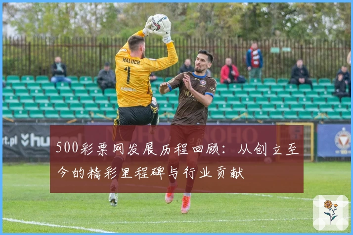 500彩票网发展历程回顾：从创立至今的精彩里程碑与行业贡献